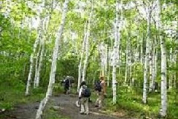 八千穂高原自然園の写真