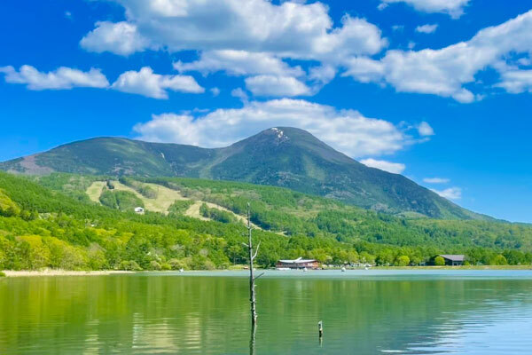 蓼科山の写真