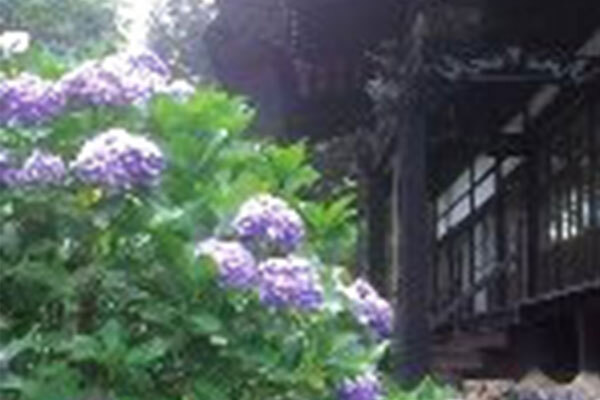 蓮華寺