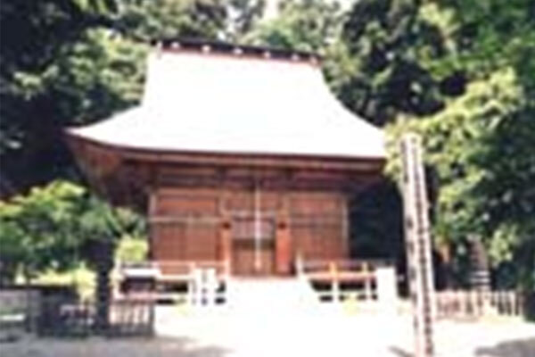 津金寺