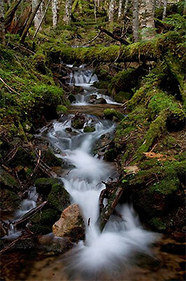 千曲川の源流の写真