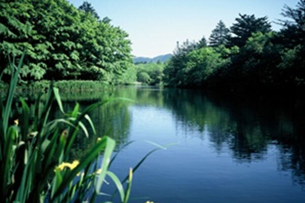 雲場池の写真