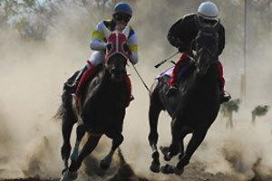 望月駒の里草競馬大会