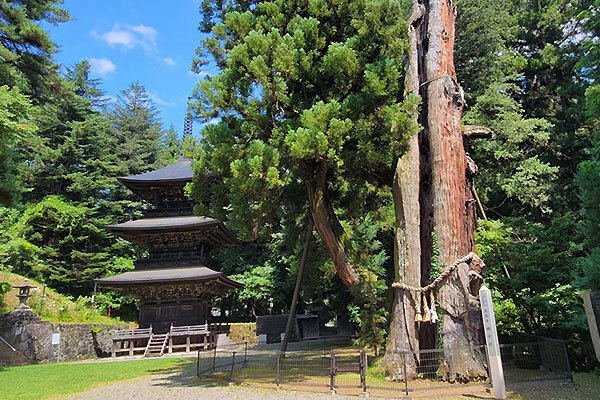 真楽寺のイメージ