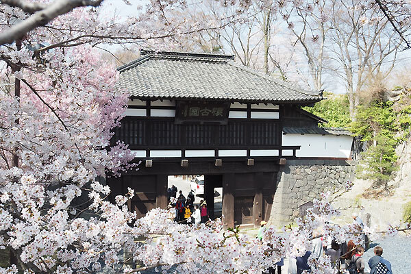 小諸城址懐古園のイメージ