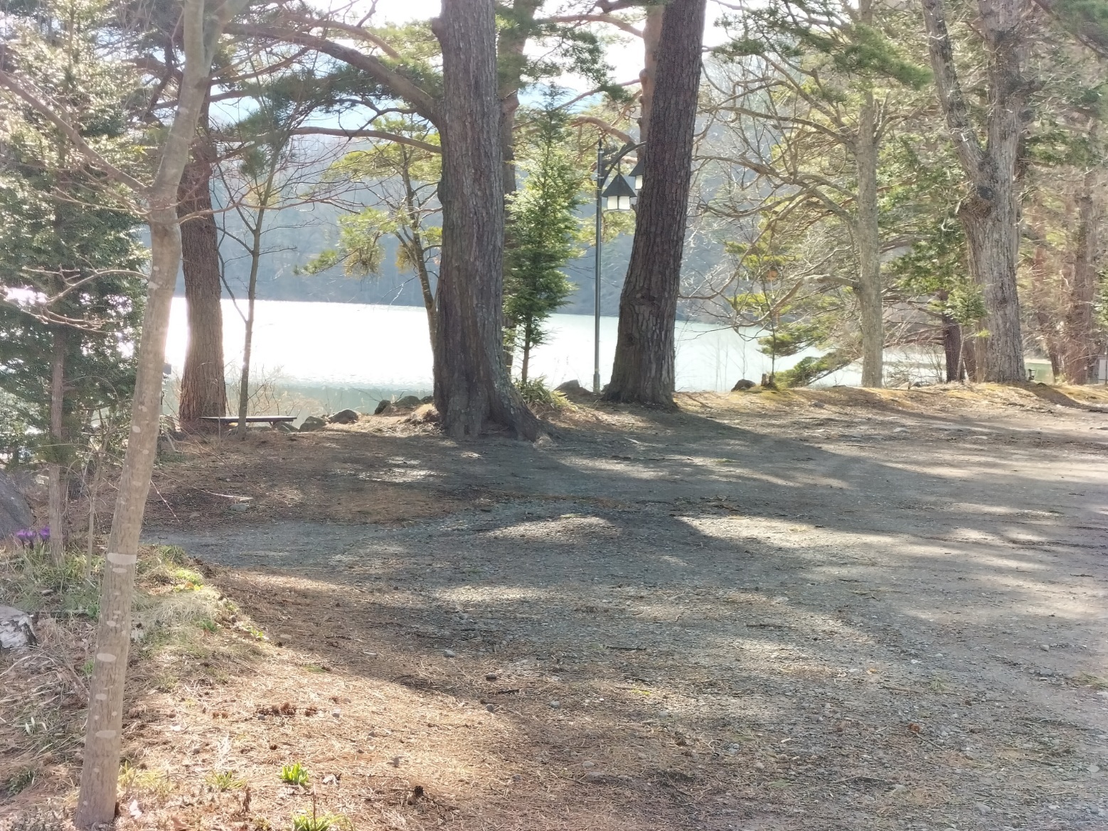 IMG20240406153225.jpg