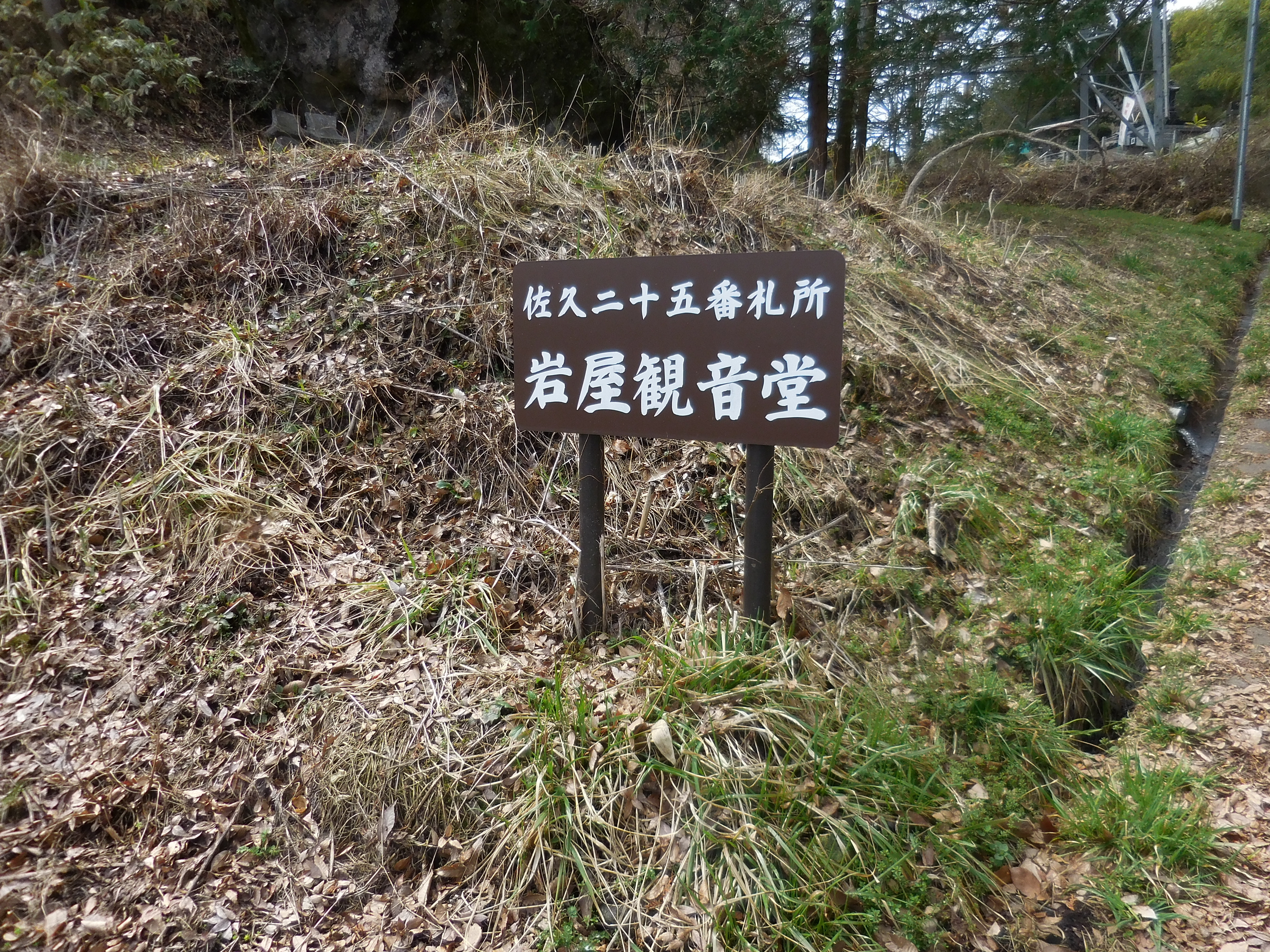 【25番】看板DSCN1207.JPG