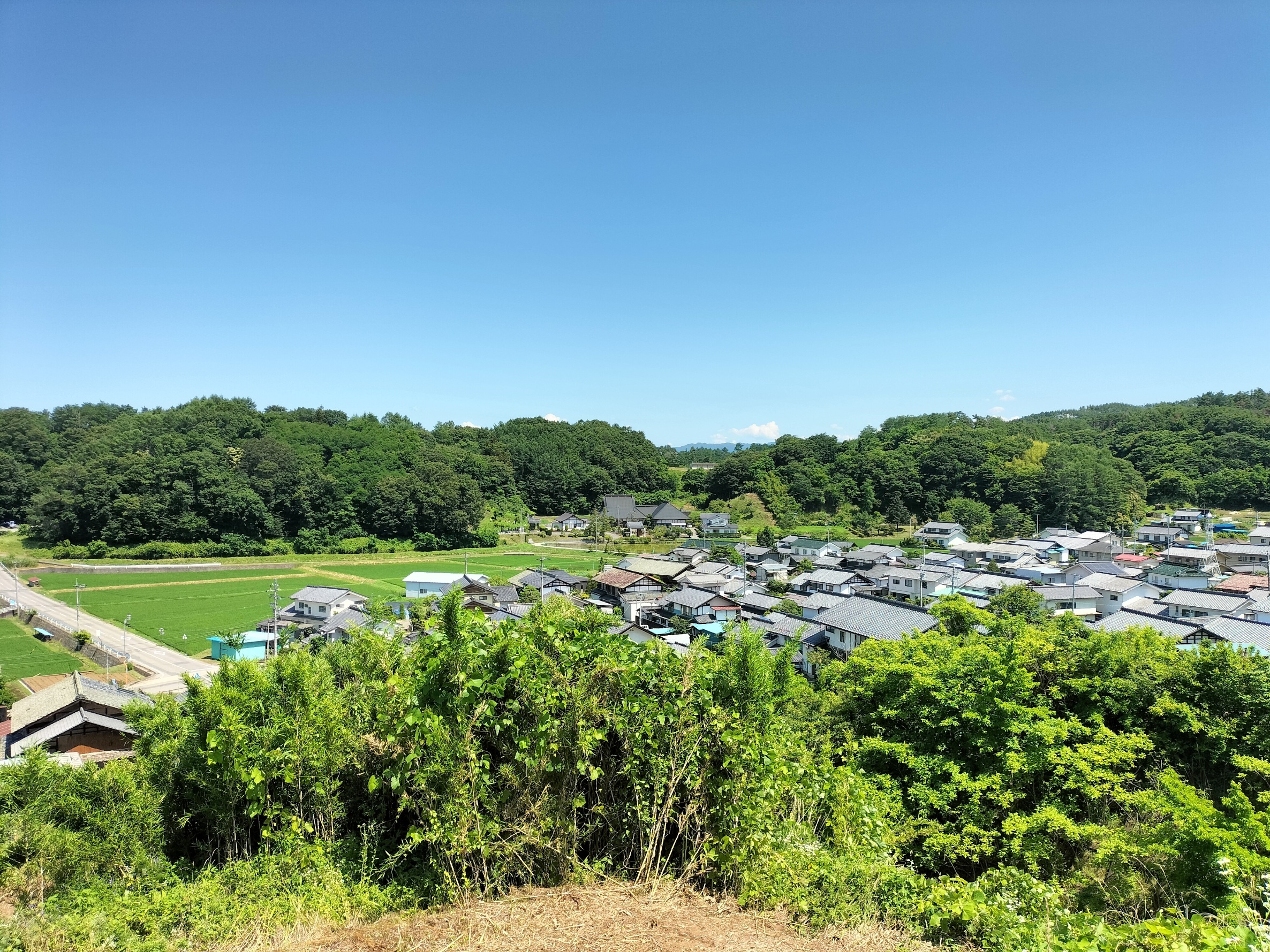 番外矢島写真⑤.jpg