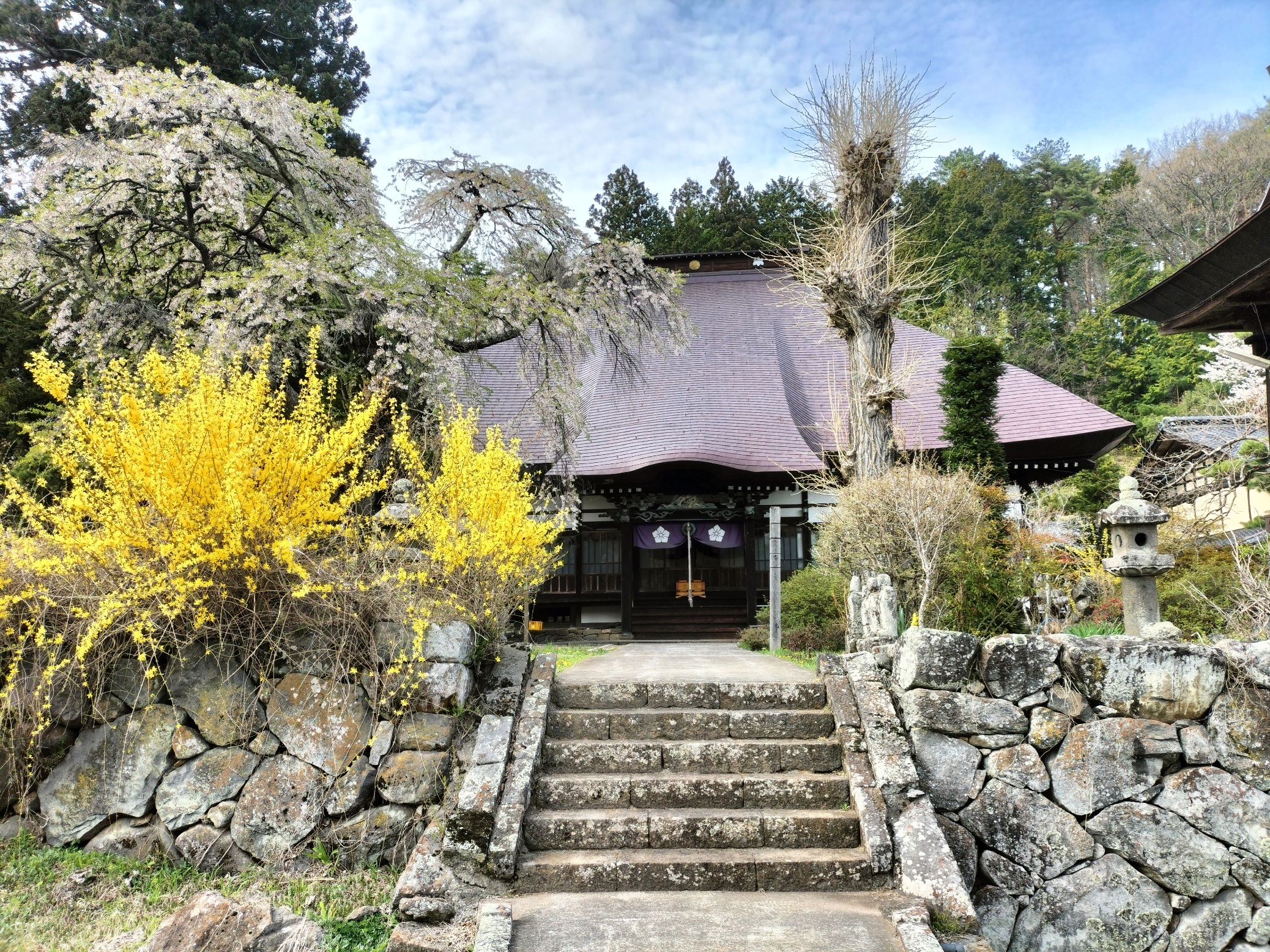 信州佐久郡三十三所観音 第三十一番札所「蓮華寺」 - 佐久広域連合
