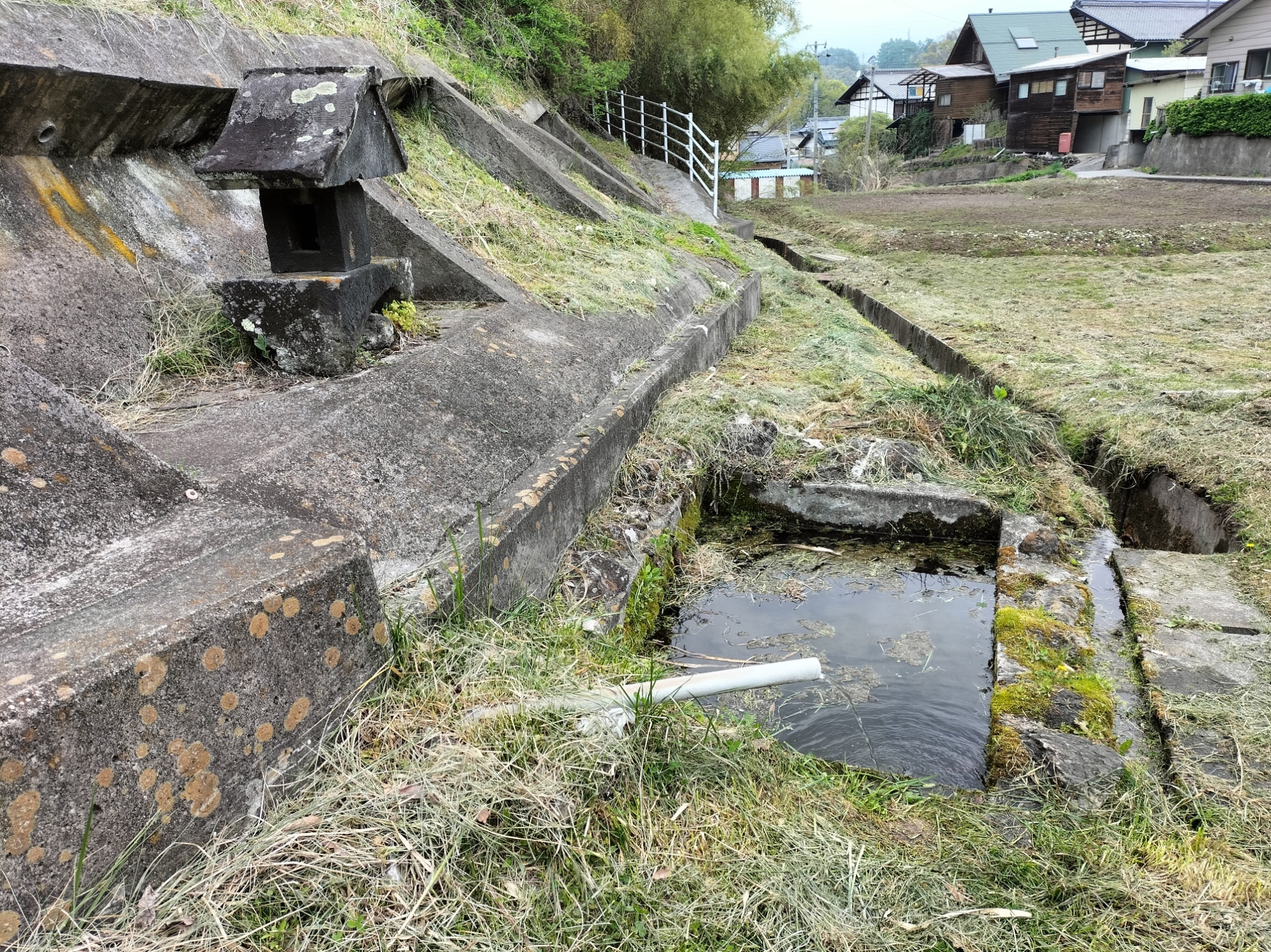 番外面替本井戸.jpg