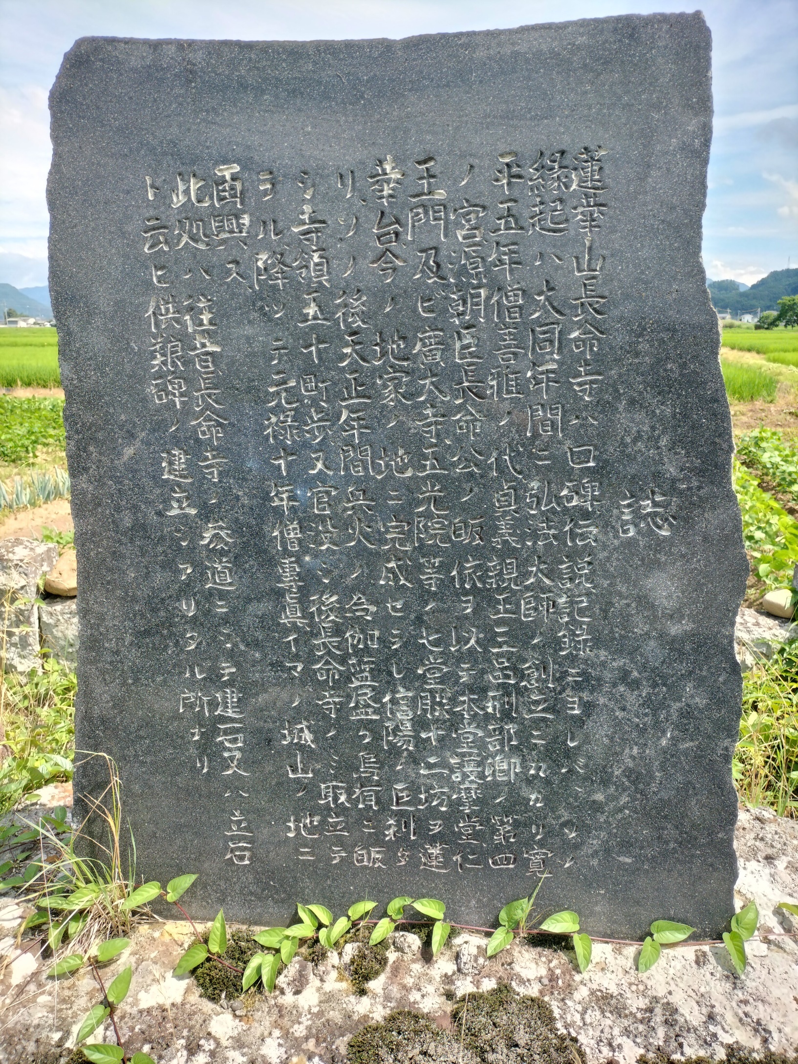 番外長命寺写真.jpg
